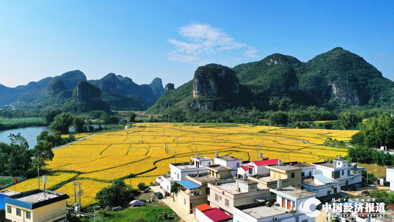 06覃排风光 李辉 摄_副本.png