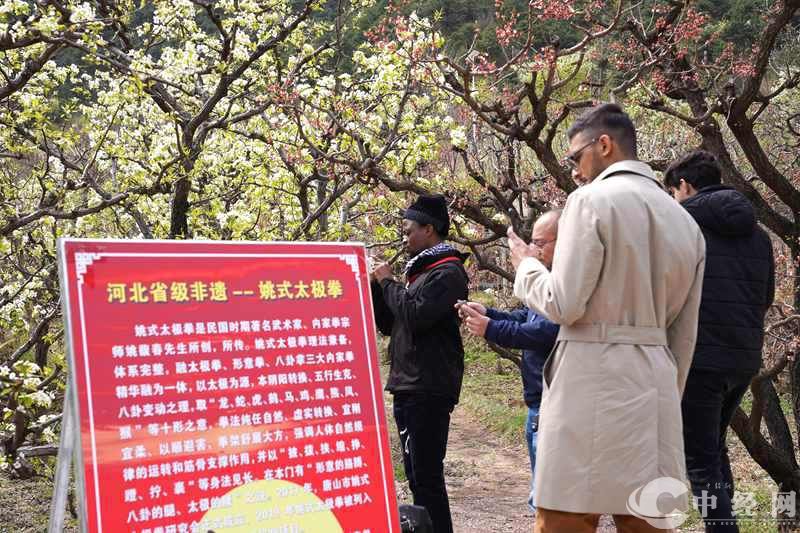 活动现场，国际友人参观姚式拳表演 摄影：徐志刚.jpg