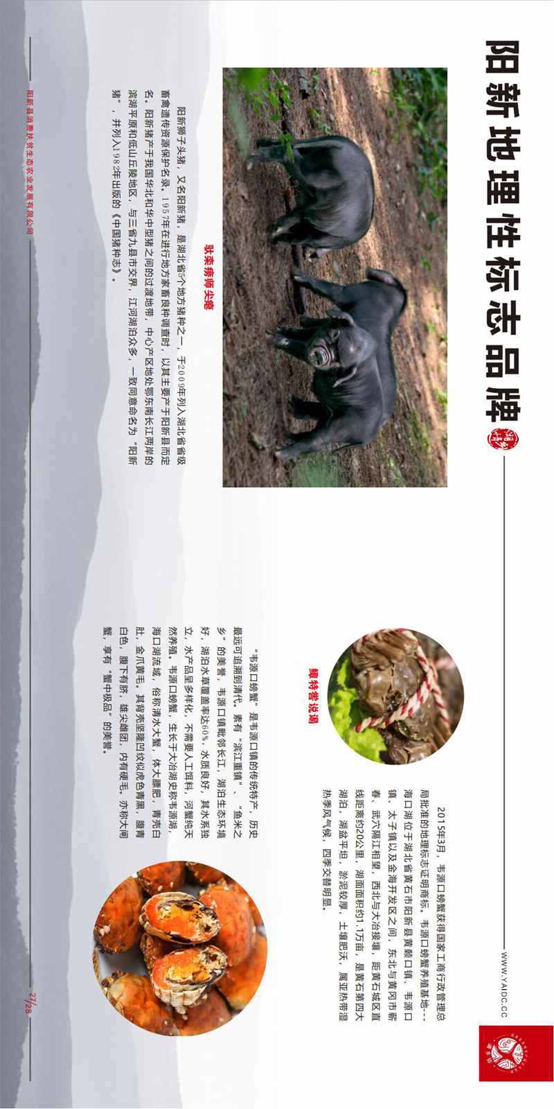 山水湖乡情 大美阳新——阳新县农产品推介手册_14.jpg