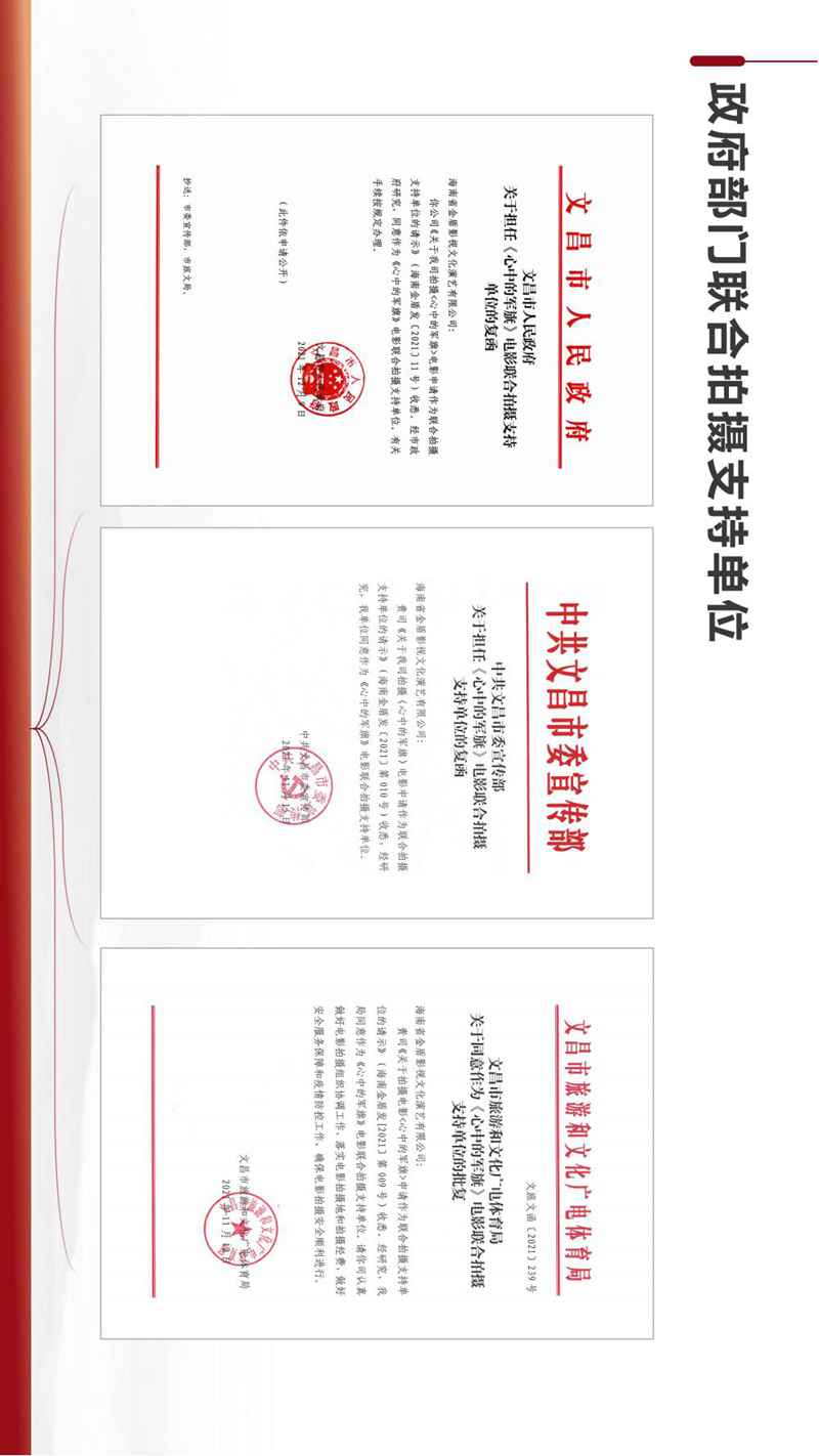 电影《心中的军旗》项目文件 中经网·中经在线_14.jpg