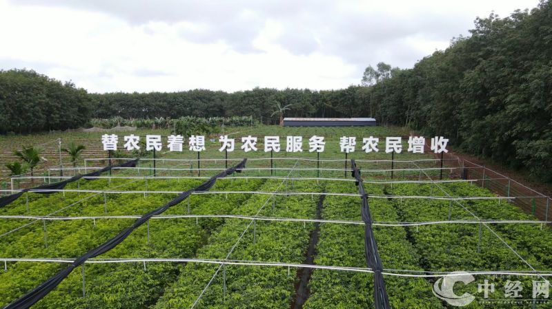 图片2.jpg