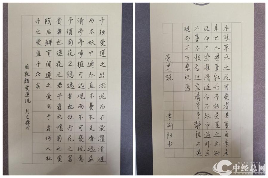 图片16_副本.jpg