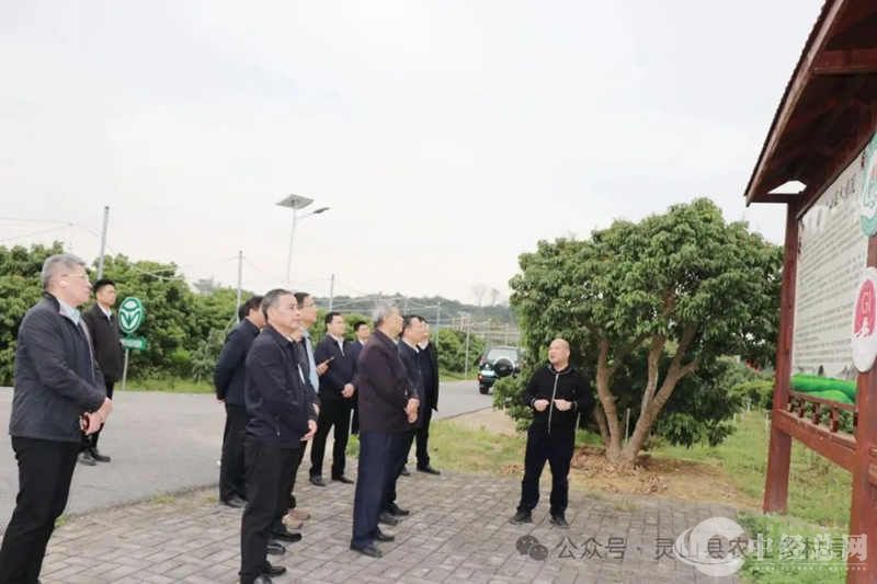 1710139609349915.jpg 1.jpg