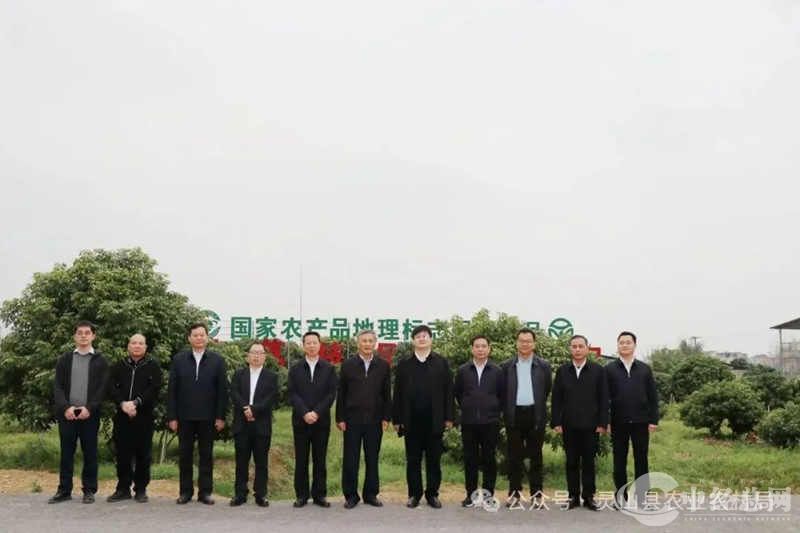 1710139615276075.jpg 2.jpg