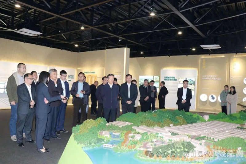 1710139626280687.jpg 3.jpg