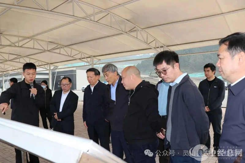 1710139643556596.jpg 4.jpg