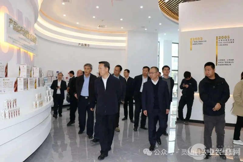 1710139718109167.jpg 6.jpg