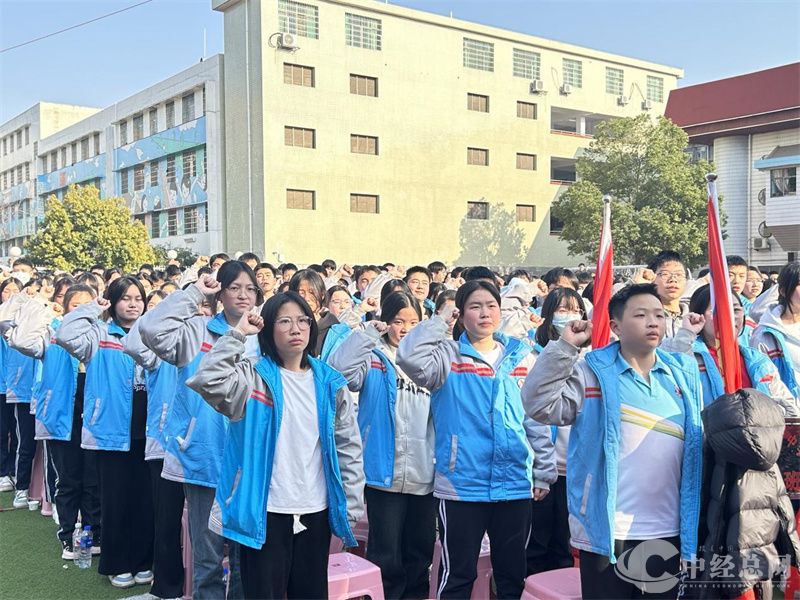 1710293985259593.jpg 8.jpg