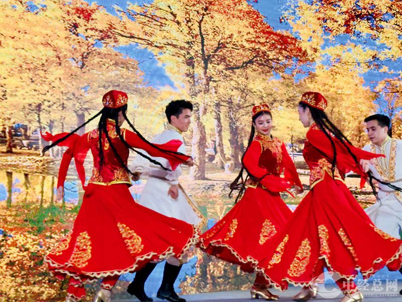 1710395443981804.jpg 4.jpg