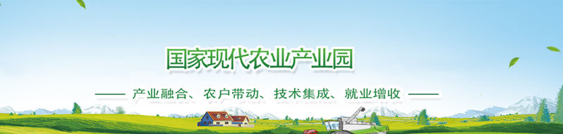 1714743175458582.jpg 11_副本.jpg