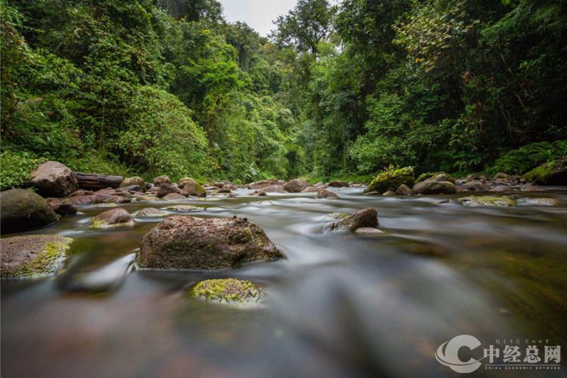 1715167464326953.jpg 图片1.jpg