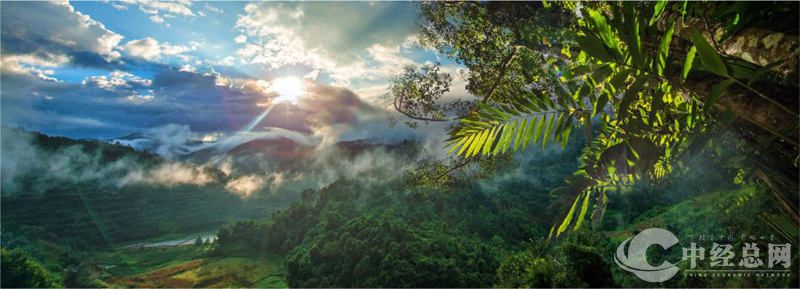 1715167767198920.jpg 图片16.jpg