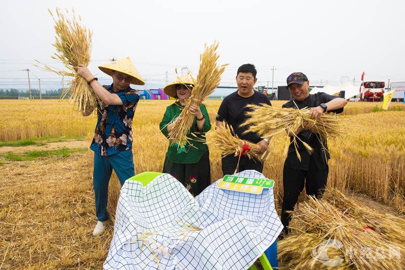 1717688205957301.jpg 4.jpg