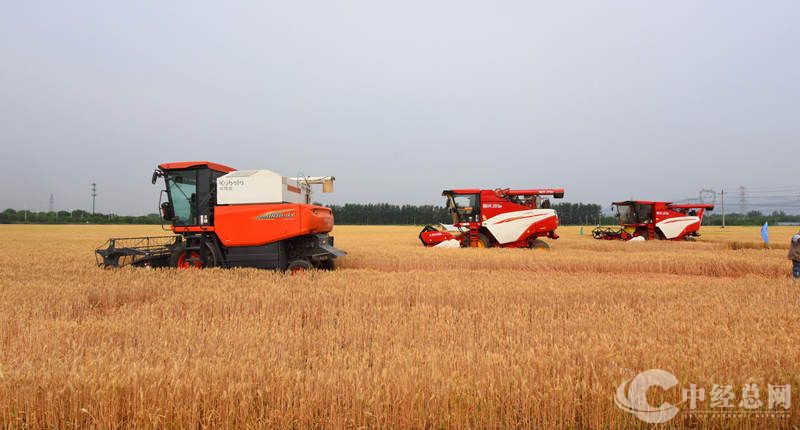 1717688225736125.jpg 6.jpg