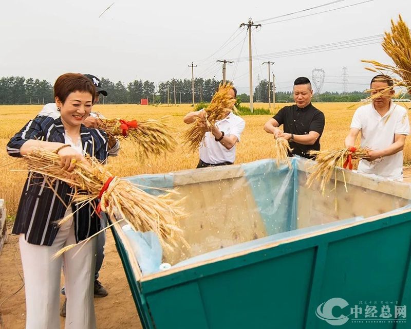 微信图片_20240607100333_副本.jpg