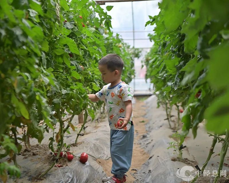 微信图片_20240607100529_副本.jpg