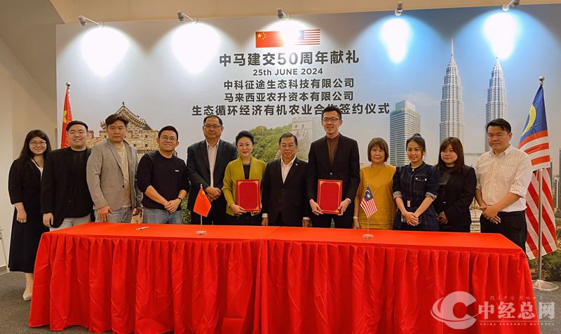 1720025135987296.jpg 3.jpg