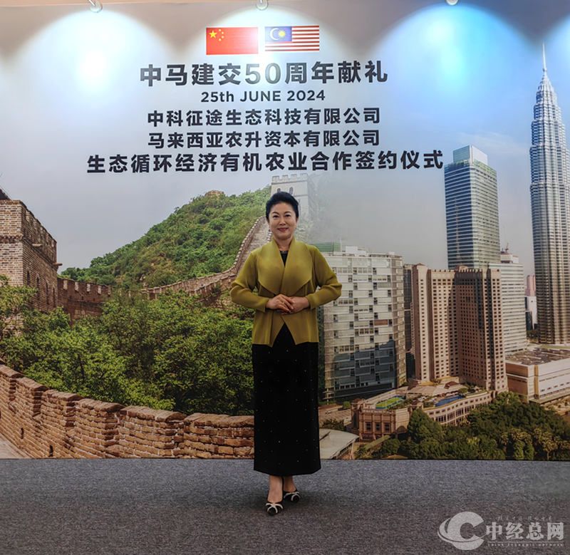 1720025184540303.jpg 4.jpg