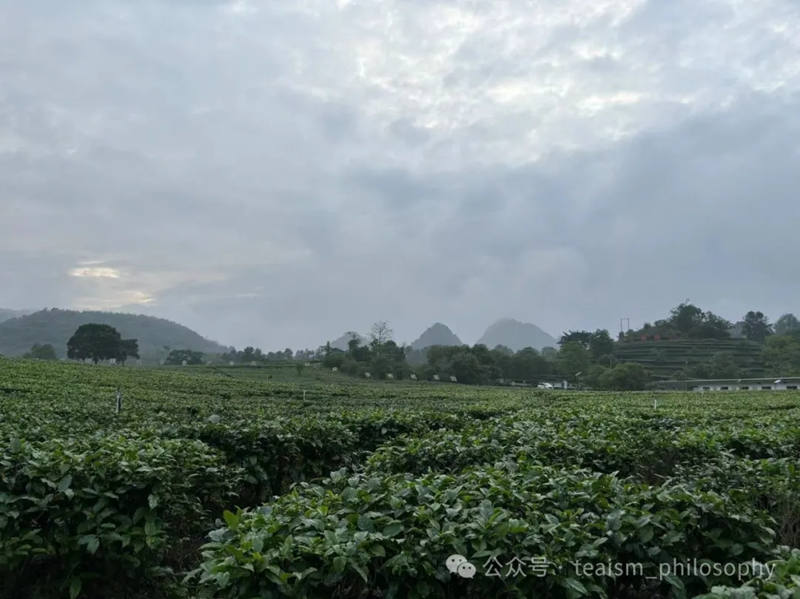 1720162676582606.jpg 1_副本.jpg