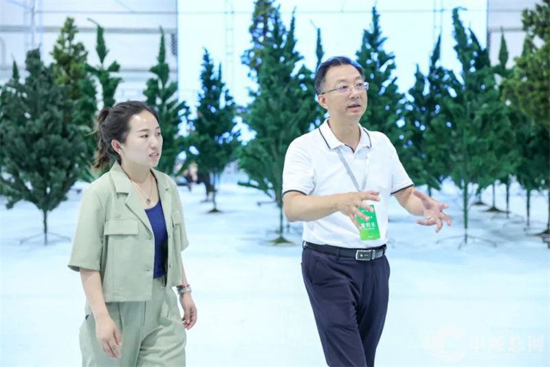 1721301692274525.jpg 9.jpg