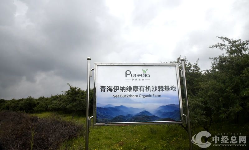 1721630829984324.jpg _DSC2864.JPG