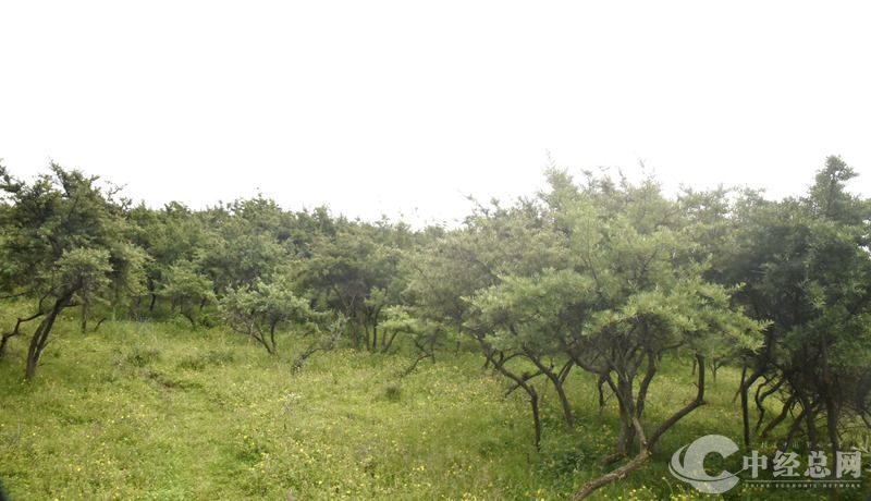 1721630860203538.jpg _DSC2866.JPG