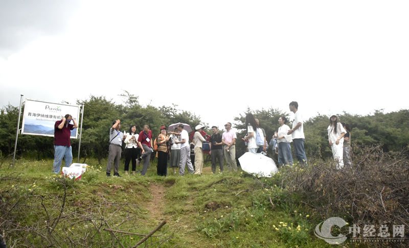 1721630893842969.jpg _DSC2869.JPG