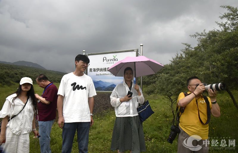 1721630917543995.jpg _DSC2887.JPG