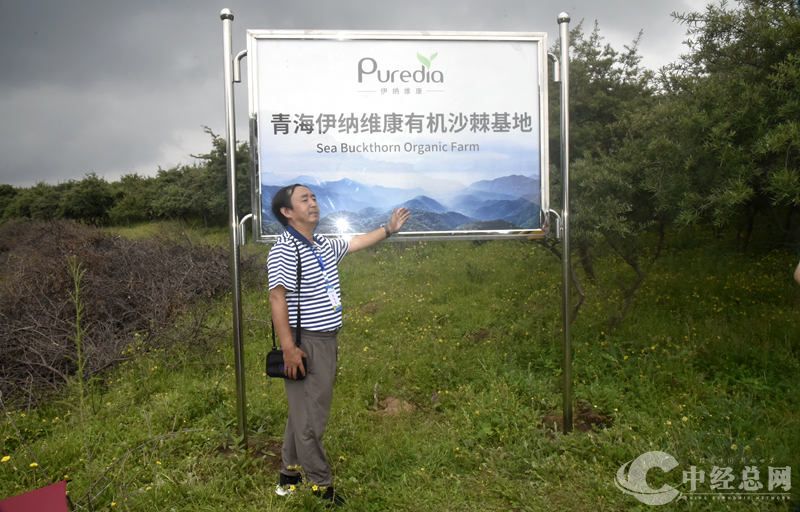 1721630956901059.jpg _DSC2909.JPG