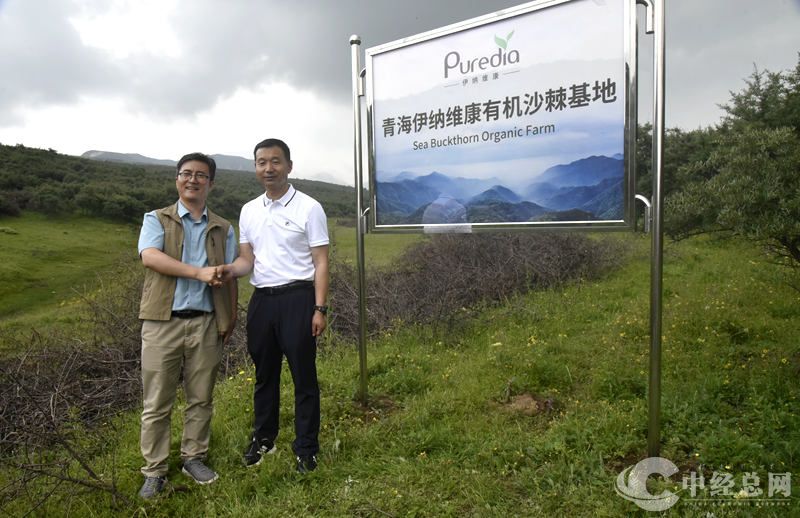 1721630977460710.jpg _DSC2923.JPG