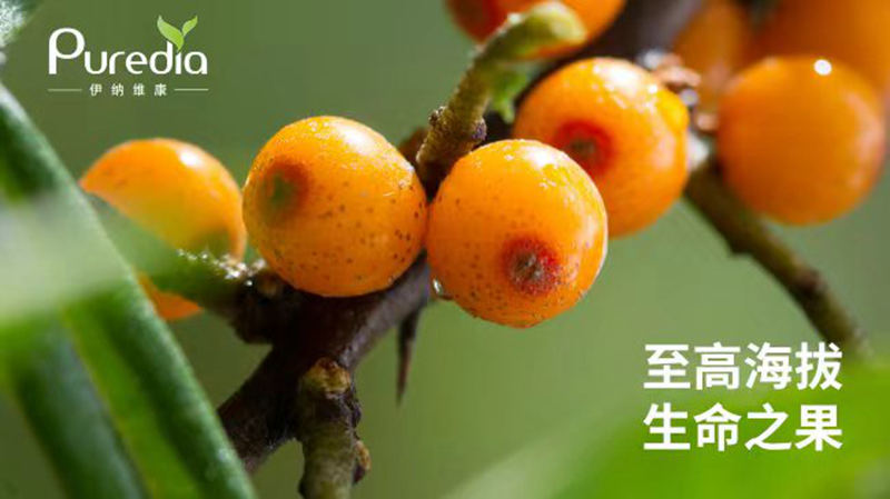 1721665009780059.jpg 7.jpg