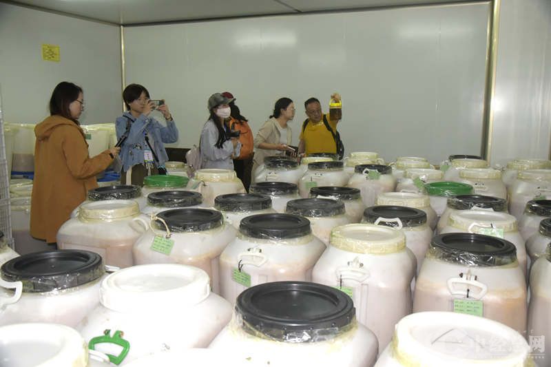 1721794046101337.jpg _DSC2975.JPG