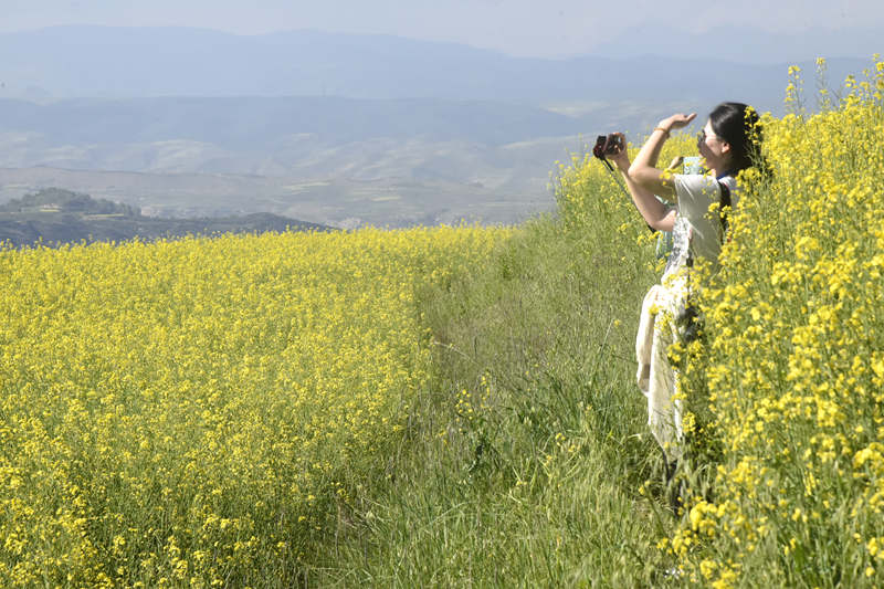 1722009348109596.jpg _DSC3604.JPG