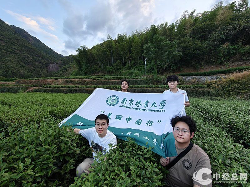 1722437357419801.jpg 10.jpg