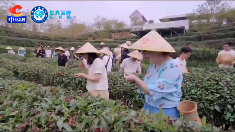 1723475591344127.jpg 12_副本.jpg