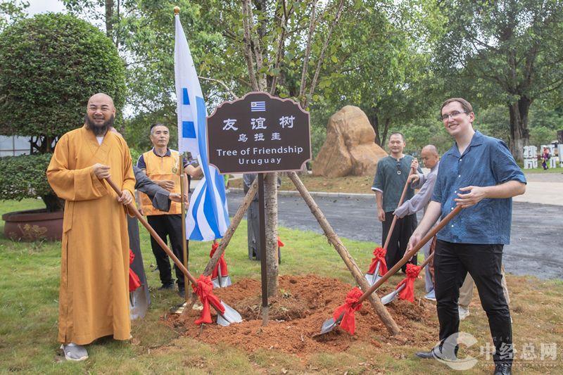 1723550759707638.jpg 31.jpg