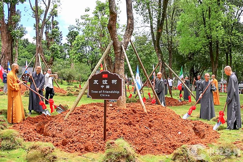 1723550782226077.jpg 29.jpg