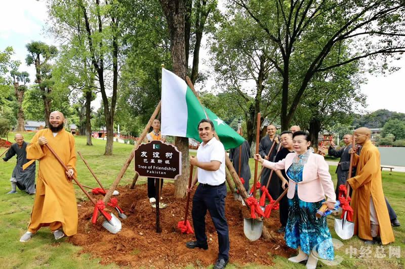 1723550818721201.jpg 27.jpg