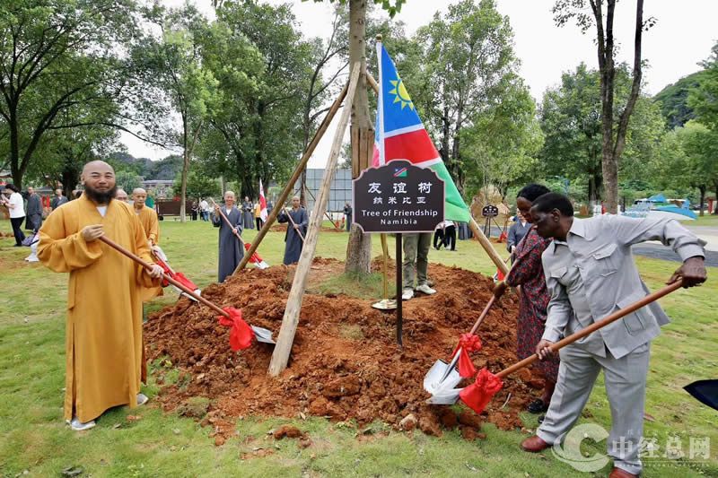 1723550841229401.jpg 26.jpg