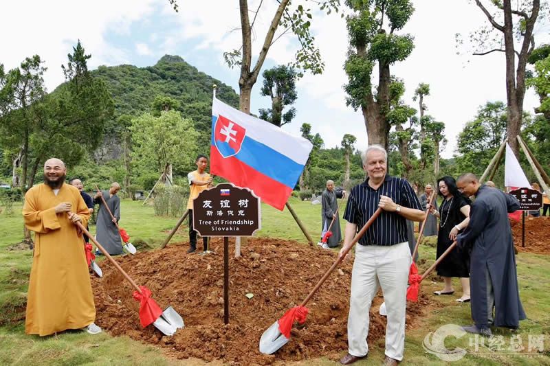 1723551009861296.jpg 23.jpg