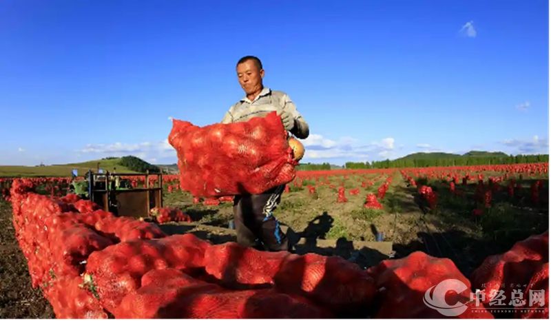 1723781590286790.jpg 11_副本.jpg