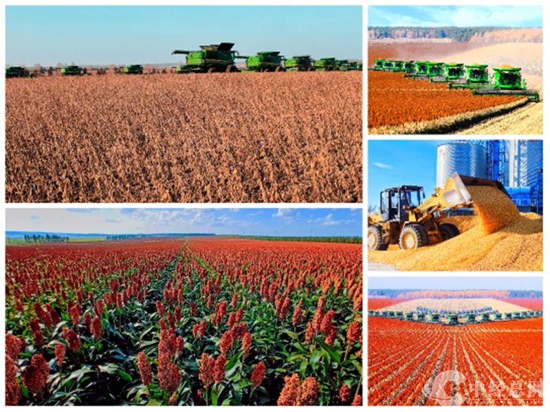 1723781628685000.jpg 14_副本.jpg