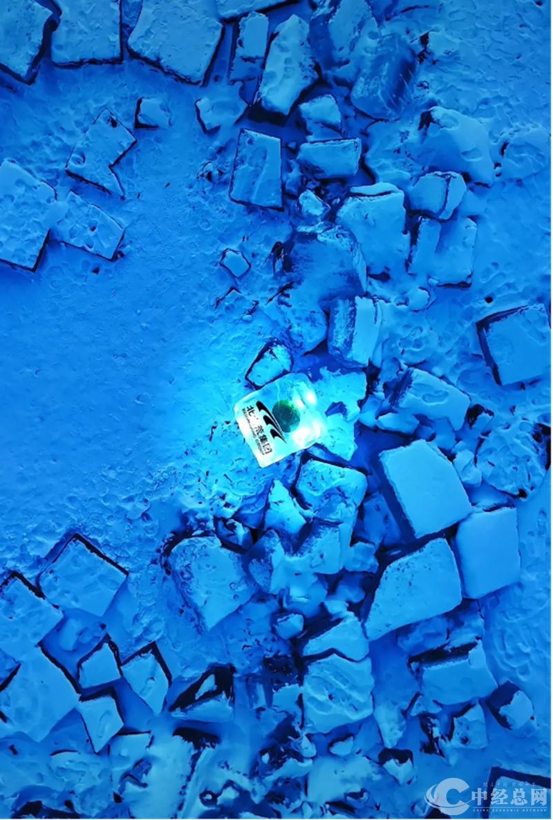 1723781682975852.jpg 16_副本.jpg