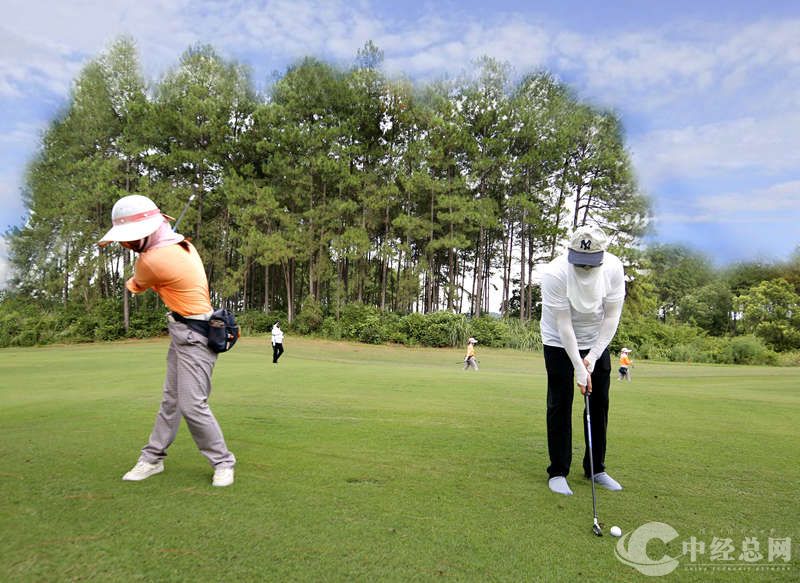 1723876370553142.jpg 7.jpg