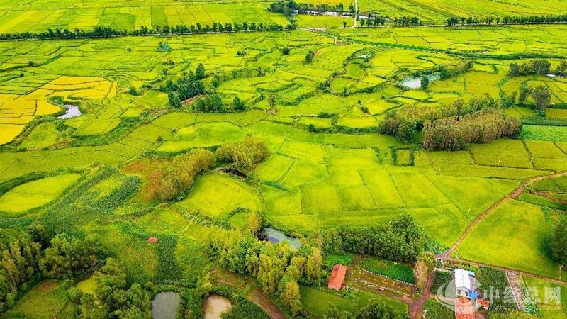 1724195866229536.jpg 03_副本.jpg