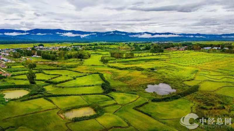 1724196106285998.jpg 微信图片_20240821070146_副本.jpg