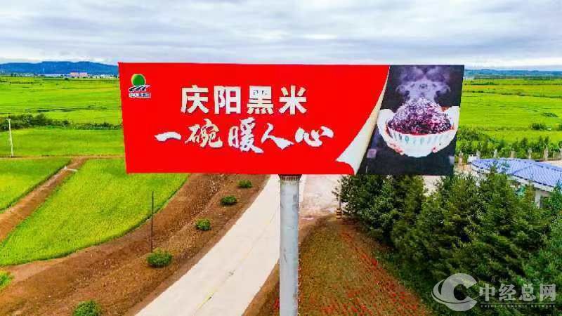 1724196172318736.jpg 微信图片_20240821070720_副本.jpg