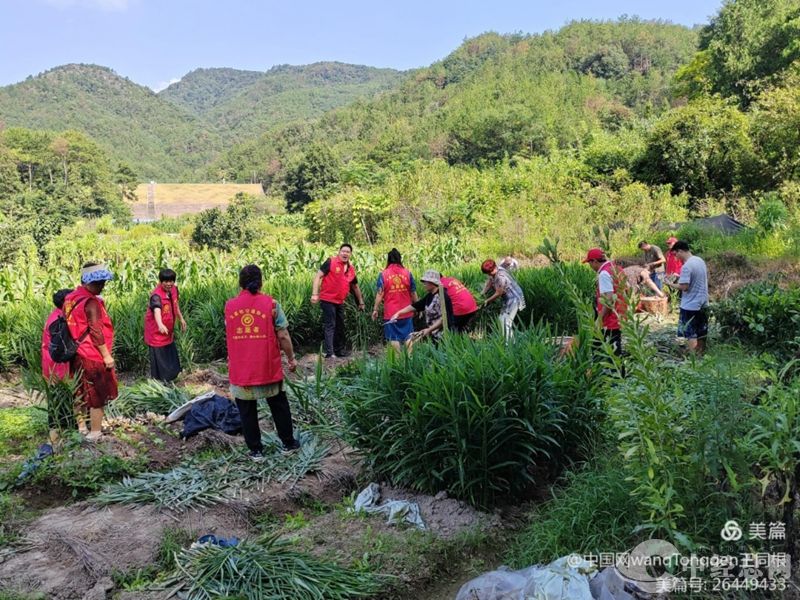 1724402118673204.jpg 微信图片_20240823162010_副本.jpg