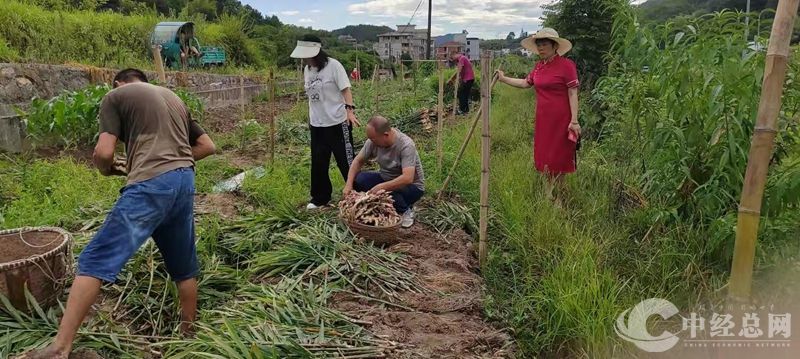 1724402132624791.jpg 微信图片_20240823162020_副本.jpg