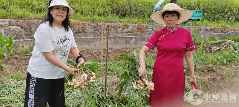 1724402176923220.jpg 微信图片_20240823162033_副本.jpg